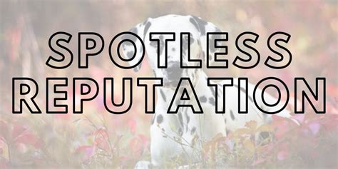 spotless meaning|spotless reputation meaning.